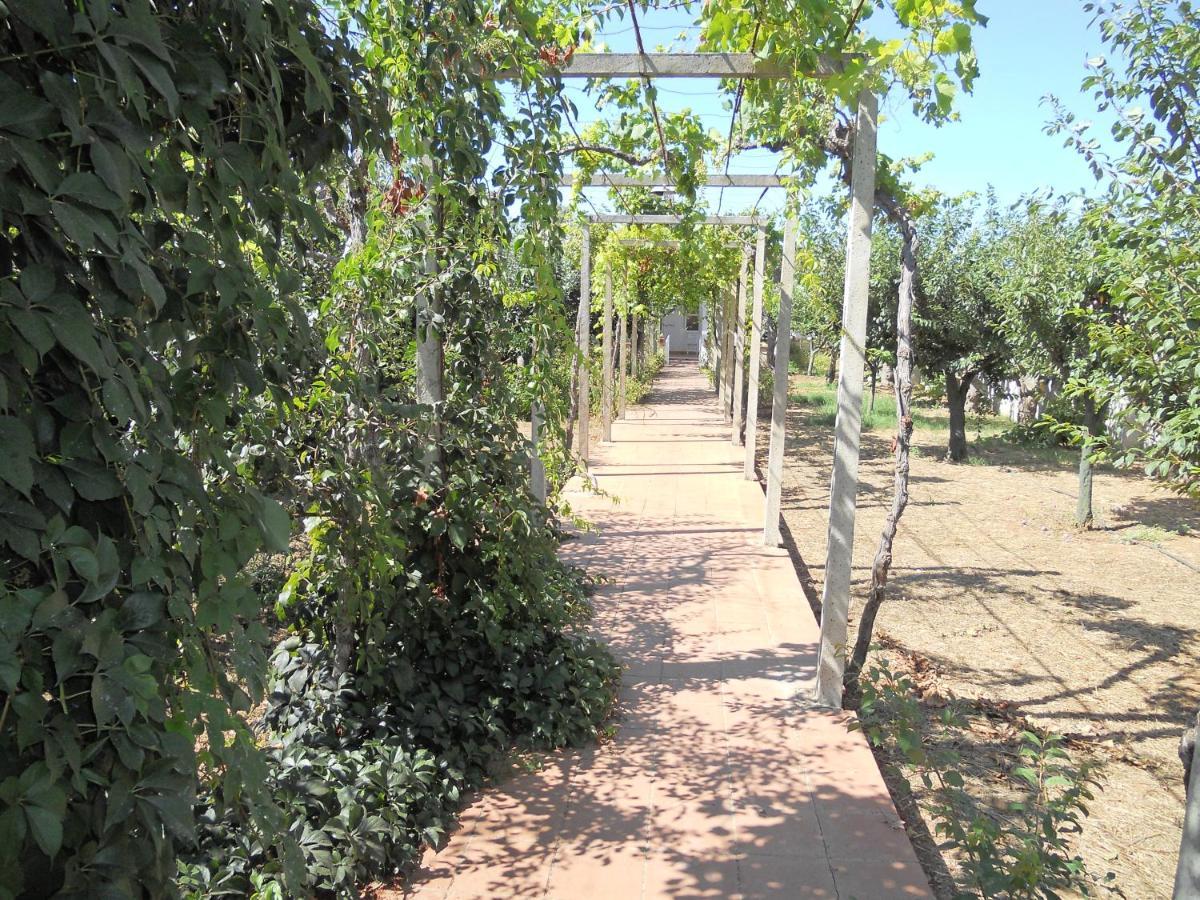 Villetta Patitari Gallipoli Buitenkant foto